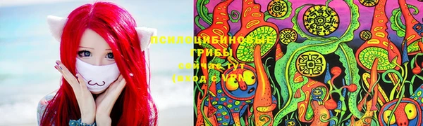 стаф Абаза