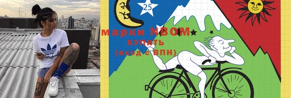 стаф Абаза